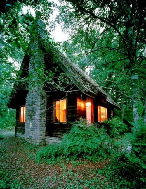 A cozy wooden cabin surrounded by trees, with warm light glowing from its windows in a serene forest setting.