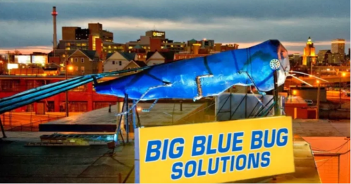 A large blue insect sculpture on a rooftop with a sign reading "BIG BLUE BUG SOLUTIONS" against a city skyline.