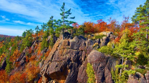 A rocky cliff surrounded by vibrant autumn foliage and tall pine trees under a blue sky.