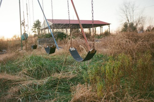 Empty swings hang in a grassy field, with a rustic shelter in the background under a soft sunset sky.
