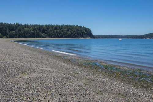 A serene beach with pebbles, gentle waves, and a sailboat in the distance, surrounded by lush green trees under a clear blue sky.