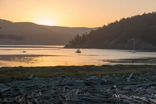 Sunset over a calm bay with sailboats and a shoreline of driftwood, surrounded by hills and trees.