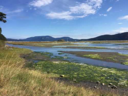 A serene landscape featuring a calm waterway, green marshes, and distant mountains under a blue sky with scattered clouds.