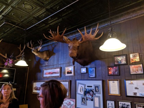 A cozy restaurant interior featuring mounted moose and deer heads on the wall, with framed photos and warm lighting.