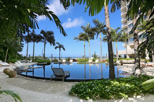 A serene pool area surrounded by palm trees, with lounge chairs and a clear blue sky in the background.