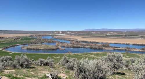 A scenic view of winding rivers surrounded by green fields and sparse shrubs under a clear blue sky.