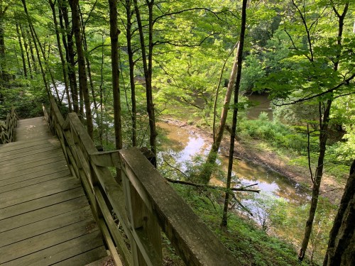 A wooden walkway leads through lush green trees beside a calm, reflective river.