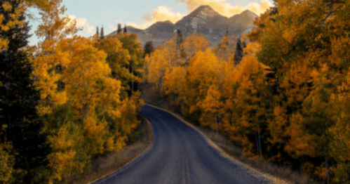 A winding road surrounded by vibrant autumn trees and mountains in the background.