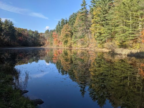 A serene lake surrounded by colorful autumn trees, reflecting the vibrant foliage and clear blue sky.