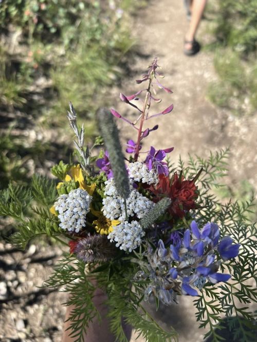 A hand holding a colorful bouquet of wildflowers along a dirt path, with a blurred figure walking in the background.