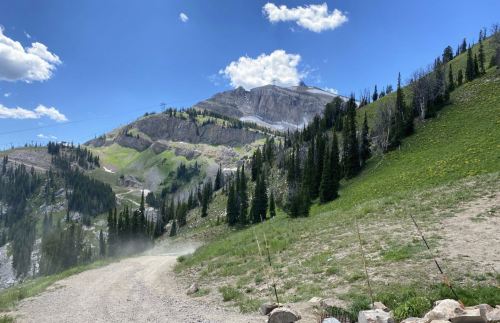 A dirt road winds through green hills and trees, leading to a rocky mountain under a blue sky with fluffy clouds.