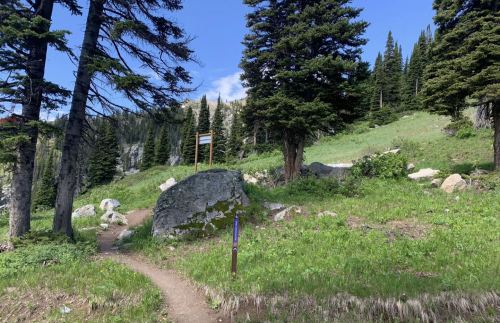 A scenic trail leads through a lush green landscape with tall trees and a signpost in the background.