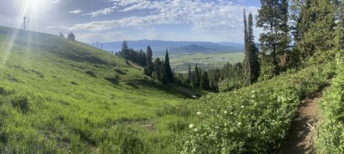 A panoramic view of a lush green hillside with trees, mountains in the distance, and a clear blue sky.