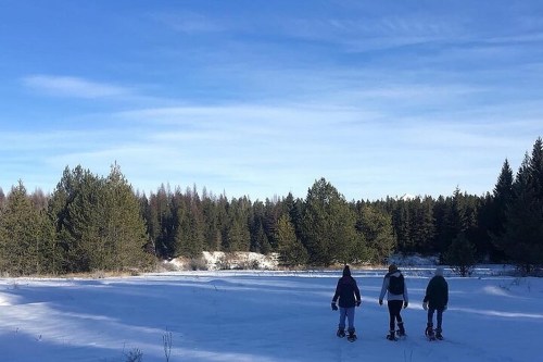 Three people snowshoeing across a snowy landscape with evergreen trees and a clear blue sky in the background.