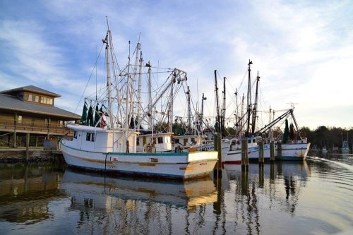 Fishing boats docked by the shore, reflecting in calm water under a cloudy sky.