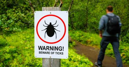 A warning sign titled “WARNING! BEWARE OF TICKS” in a WV forest, while a person walks on a trail.
