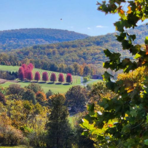A scenic landscape featuring rolling hills, colorful autumn trees, and a clear blue sky.