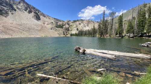 A serene lake surrounded by mountains and trees, with clear water and a log floating on the surface.