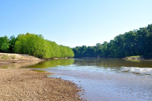 A calm river flows between lush green trees under a clear blue sky, with a pebbly shore in the foreground.
