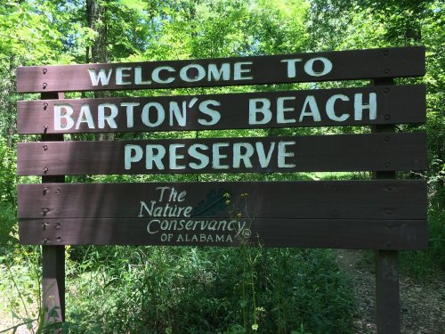 Sign welcoming visitors to Barton's Beach Preserve, featuring The Nature Conservancy of Alabama logo, surrounded by greenery.