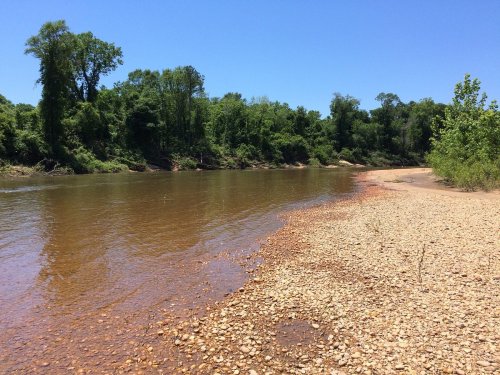 A calm river flows alongside a sandy shore, surrounded by lush green trees under a clear blue sky.