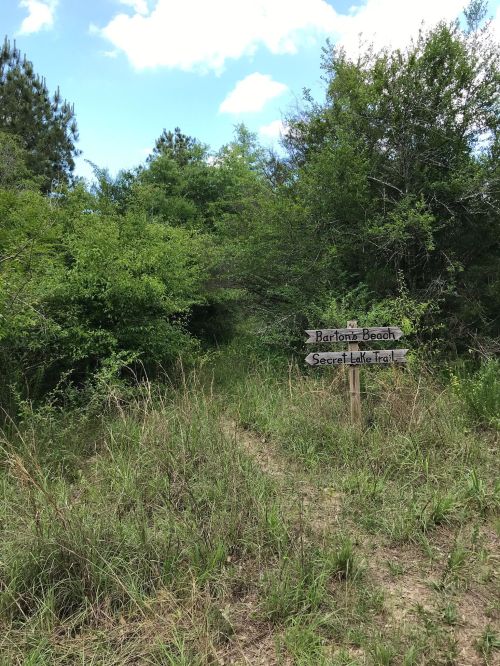 A grassy path leads into dense greenery, with wooden signs pointing to "Bartona Beach" and "Secret Lake Trail."