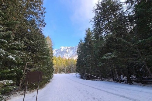 A snowy path leads through tall trees, with mountains visible in the distance under a clear blue sky.