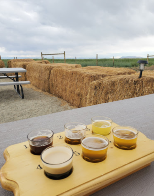 A wooden flight board with six beer samples sits on a table, with hay bales and a cloudy sky in the background.