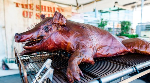 A whole roasted pig displayed on a grill at an outdoor event, with a rustic backdrop.