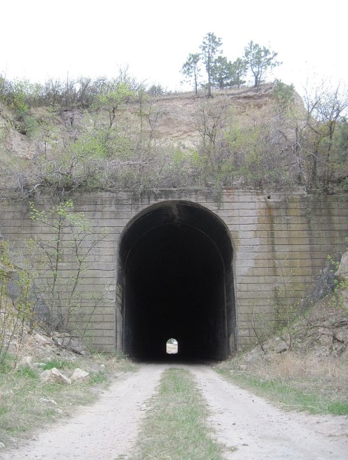 A dark tunnel entrance surrounded by rocky terrain and sparse greenery, leading into a distant light.