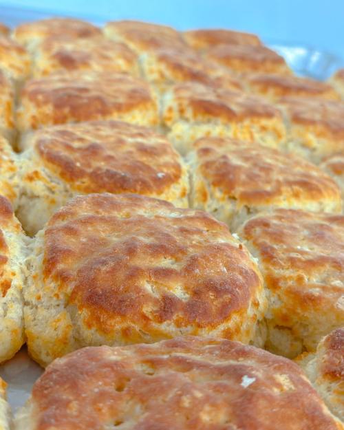 A close-up of golden-brown, flaky biscuits arranged neatly on a tray.