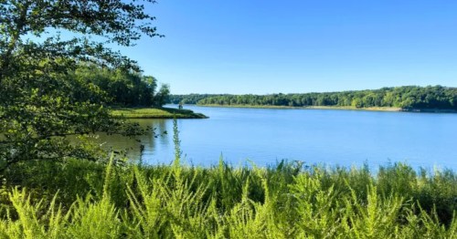 River views from Sugar Bottom Recreation Area in Iowa