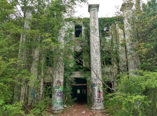 Abandoned building with overgrown vegetation and graffiti on its columns and walls, surrounded by trees.