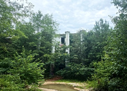 Overgrown ruins of a building surrounded by dense greenery and trees, with a small pond in the foreground.