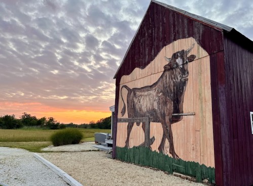 A rustic barn with a large cow mural, set against a colorful sunset and open fields.