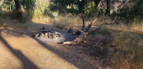 A campsite with a stone fire ring, scattered rocks, and a fallen tree, surrounded by tall grass and trees.