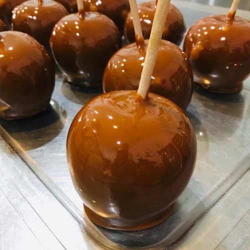 A close-up of shiny chocolate-covered apples on a tray, each with a wooden stick inserted.