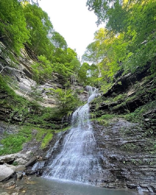 A serene waterfall cascading down rocky cliffs, surrounded by lush green trees and a clear blue sky.