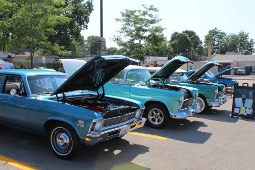 A row of classic blue cars with hoods open, showcasing their engines at a car show on a sunny day.