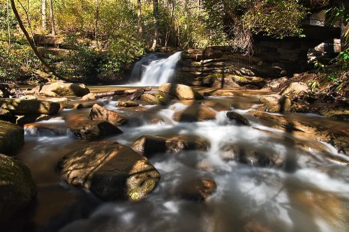 A serene waterfall cascades over rocks, surrounded by lush greenery and dappled sunlight in a tranquil forest setting.