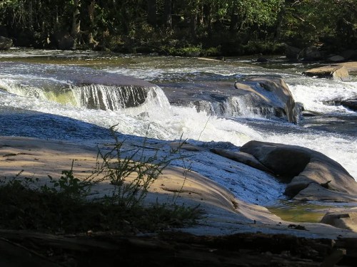 A serene river flows over smooth rocks, surrounded by lush greenery and dappled sunlight.