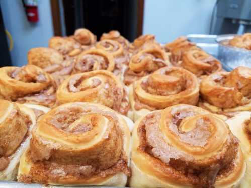 Freshly baked cinnamon rolls arranged in a tray, showcasing their golden-brown swirls and gooey icing.