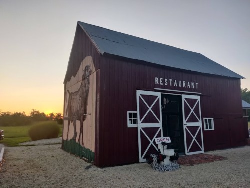 A red barn with a cow mural, labeled "RESTAURANT," and an "OPEN" sign at sunset.