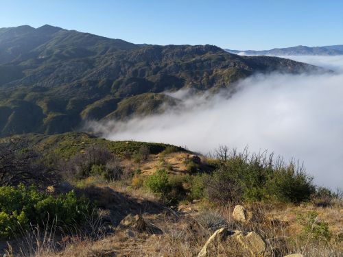 A scenic view of mountains with rolling fog in the valleys, under a clear blue sky. Green vegetation in the foreground.