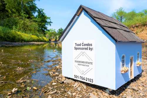 A small blue house by a stream, labeled "Toad Condos" with a sponsorship sign for Diamond State Restoration.