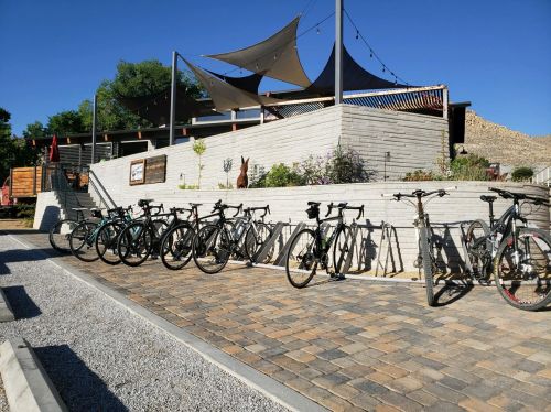A row of bicycles parked on a paved path outside a modern building with shaded seating areas and greenery.