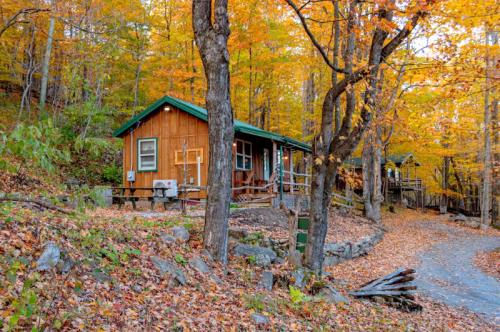 A cozy wooden cabin surrounded by vibrant autumn foliage and fallen leaves on a winding path.