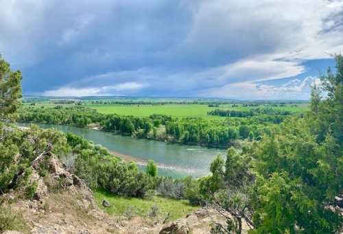 A scenic view of a river winding through lush green fields and trees under a cloudy sky.