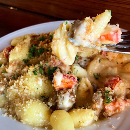 A fork lifting creamy pasta with lobster, cheese, and breadcrumbs from a bowl of macaroni and cheese.