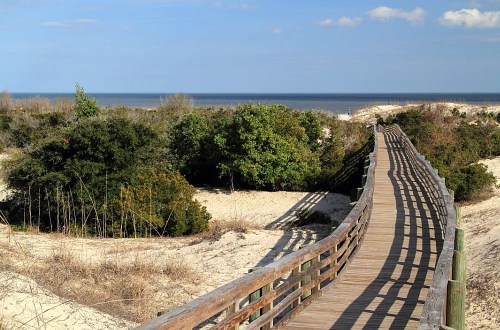 A wooden boardwalk winds through sandy dunes and greenery, leading to a calm ocean under a clear blue sky.